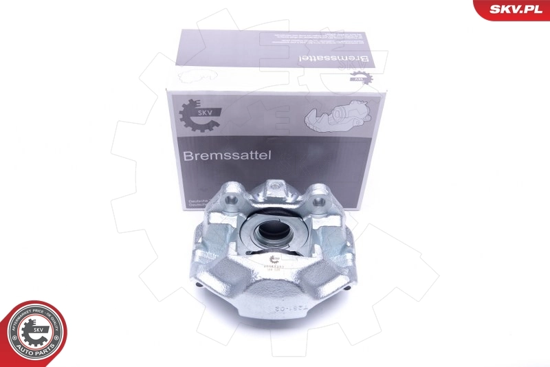 Brake Caliper